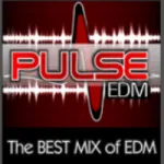 Logo da Pulse EDM Dance Music