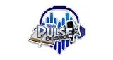Logo da Pulse Gospel