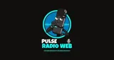 Logo da Pulse Radio Web