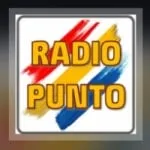 Logo da Punto 88.1 FM