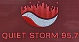 Logo da Quiet Storm 95.7