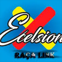 Logo da Raça Link
