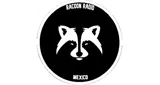 Logo da Racoon Radio Mex.