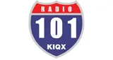 Logo da Radio 101.3 FM