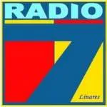 Logo da Radio 7 91 FM