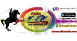 Radio 7 FM