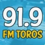 Logo da Radio 91.9 FM Toros
