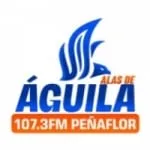 Logo da Radio Alas de Águila 107.3 FM