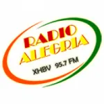 Logo da Radio Alegria 95.7 FM