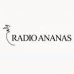Logo da Radio Ananas 91 FM