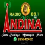 Logo da Radio Andina 89.1 FM