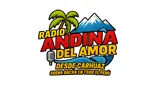 Logo da Radio Andina del Amor