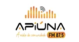 Radio Apiúna FM