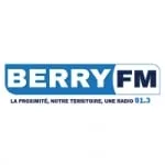 Logo da Radio Berry 91.3 FM