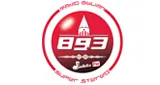 Logo da Radio Biblian Stereo 89.3 Fm