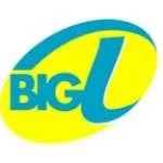 Logo da Radio Big L 1395 AM