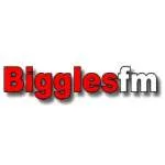 Logo da Radio Biggles 104.8 FM