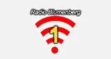Radio Blumenberg 1