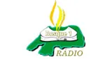Radio Bosque 1