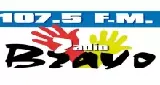 Logo da Radio Bravo 107.5 FM