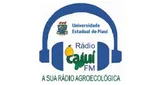 Radio Cajuí