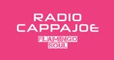 Logo da Radio Cappajoe - Flamingo Soul
