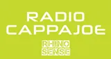 Logo da Radio Cappajoe - Rihno Sense