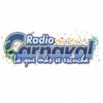 Logo da Radio Carnaval 96.5 FM