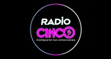 Logo da Radio Cinco Misiones