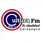 Logo da Radio Cultura 98.1 FM