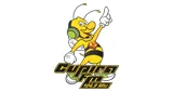 Logo da Radio Cupira FM