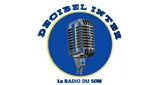 Logo da Radio Decibel Inter