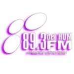 Logo da Radio del Hum 89.3 FM