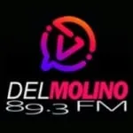 Logo da Radio del Molino 89.3 FM