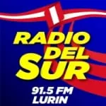 Logo da Radio Del Sur 91.5 FM