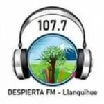 Logo da Radio Despierta 107.7 FM
