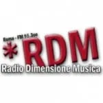 Logo da Radio Dimensione Musica 95.3 FM