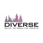 Logo da Radio Diverse 102.8 FM