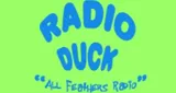 Radio Duck