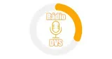 Logo da Radio DVS