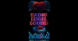Logo da Radio-Engelsound