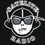 Logo da Radio Estación Satélite 100.1 FM