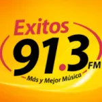 Logo da Radio Exitos 91.3 FM