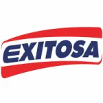 Logo da Radio Exitosa 95.5 FM