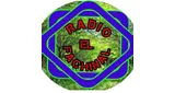 Radio Fachinal De Hoyon