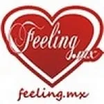 Logo da Radio Feeling