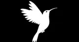 Logo da Radio FiliplayTv