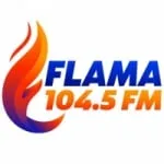 Logo da Radio Flama 104.5 FM