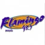 Logo da Radio Flamingo Stereo 93.7 FM