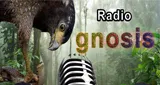 Logo da Radio Gnosis